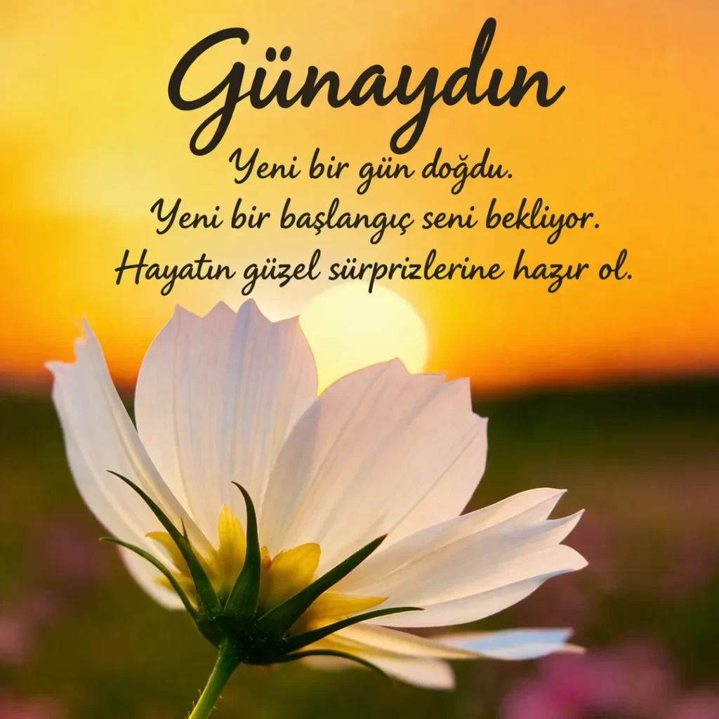 günaydın mesajıları