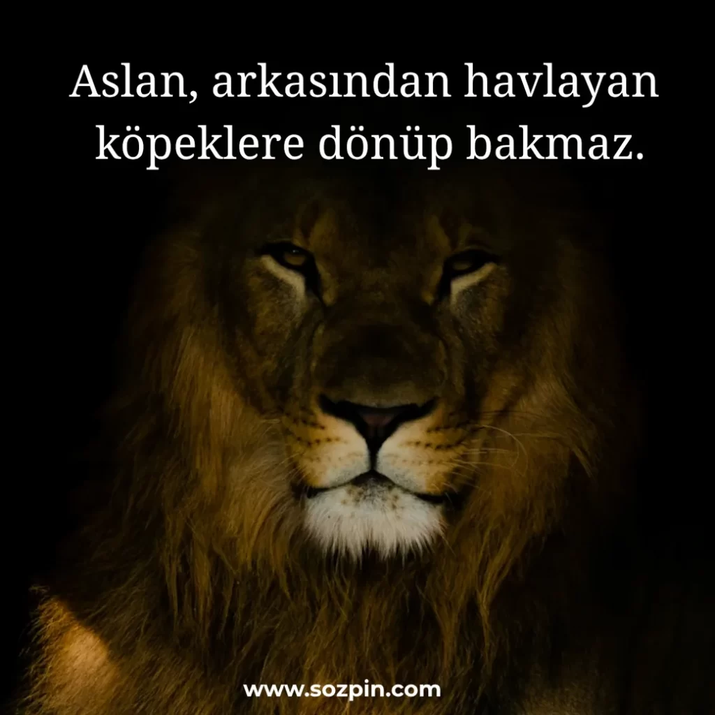 Kendi Fotoğraf Altı Sözler Kısa