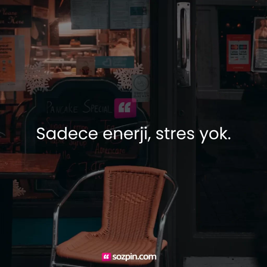 cool instagram bio sözü