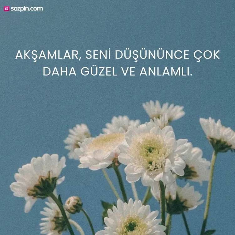 papatya görseli ile anlamlı iyi geceler mesajı